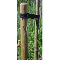 Machine Rounded Tree Stake
