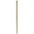 Palisade Pointed Top Pale