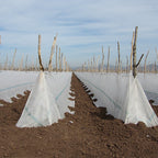 Agribon AG-30 Frost Protection Floating Row Cover