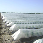 Agribon AG-50 Frost Protection Floating Row Cover