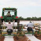 Agribon AG-50 Frost Protection Floating Row Cover