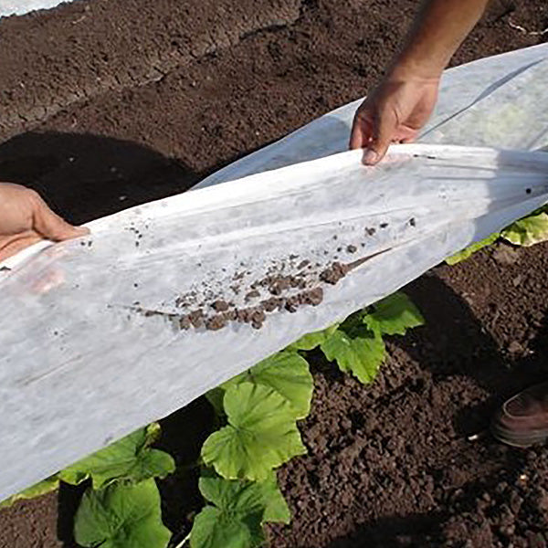 Agribon AG-50 Frost Protection Floating Row Cover