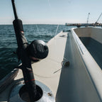 Accurate Ascender Star Drag Conventional Reels