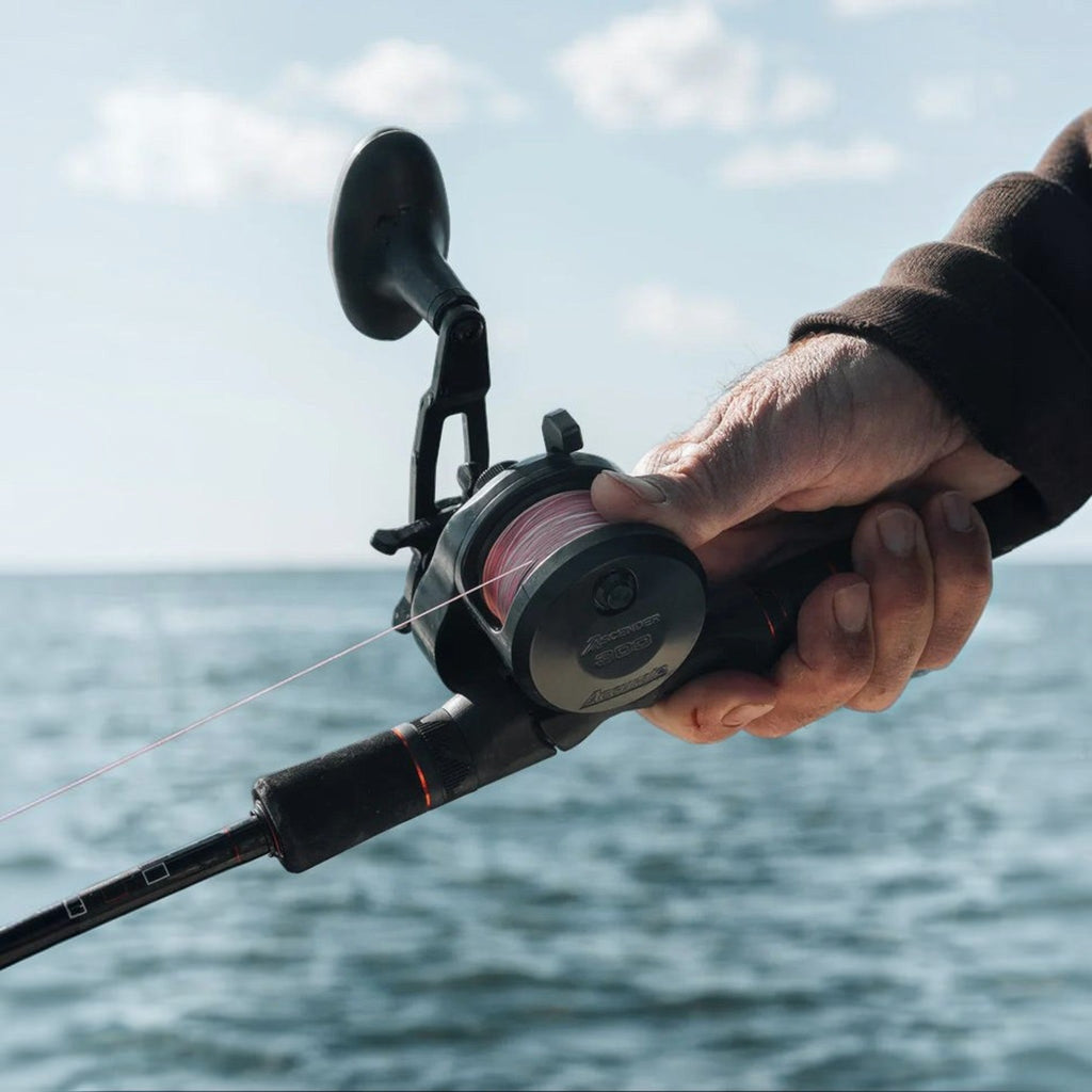 Accurate Ascender Jigging Reels