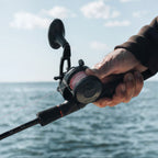 Accurate Ascender Star Drag Conventional Reels