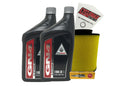Honda GN4 Standard 10W-30 Tune-Up Kit for 2007-2014 TRX250