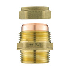 IBC 2” S60X6 Cap with Brass Compression Straight ¾” BSP – 22mm