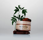 Body Cream