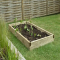 Forest Caledonian Large Raised Bed - 90cm x 180cm