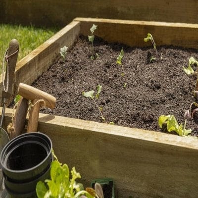 Forest Caledonian Compact Raised Bed - 90cm x 90cm