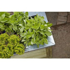 Forest Cambridge Planter - All Sizes