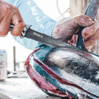 SORD Fishing Products 9in Serrated Blade Knife