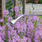 Watering Lance 50cm with 3/4"BSP Female Thread Inlet