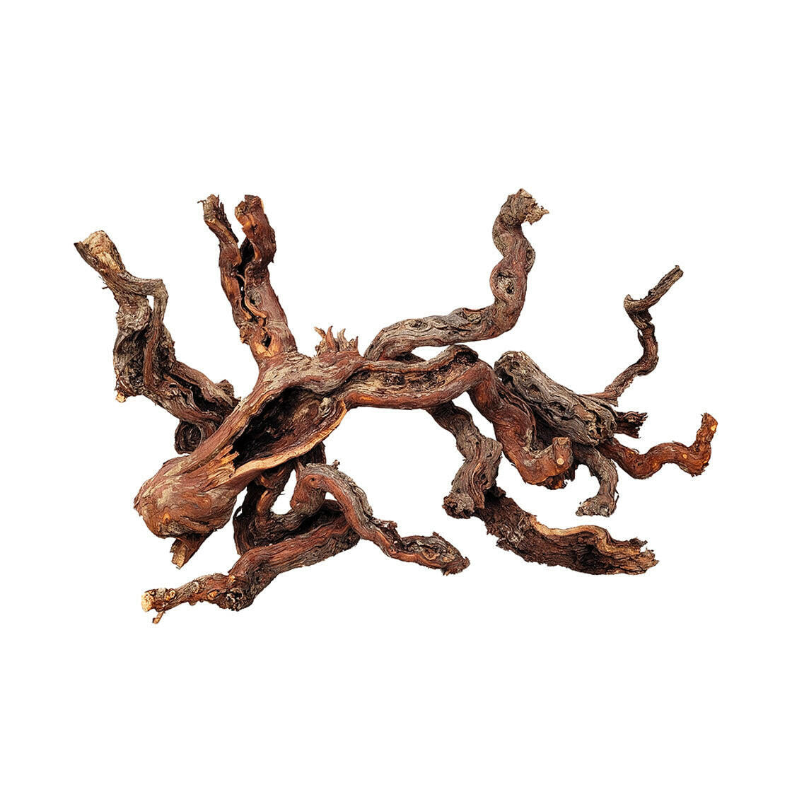 WIO Centurion Wood - Medium