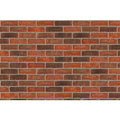 Cissbury Red Multi Stock 65mm x 215mm x 102.5mm - Sample