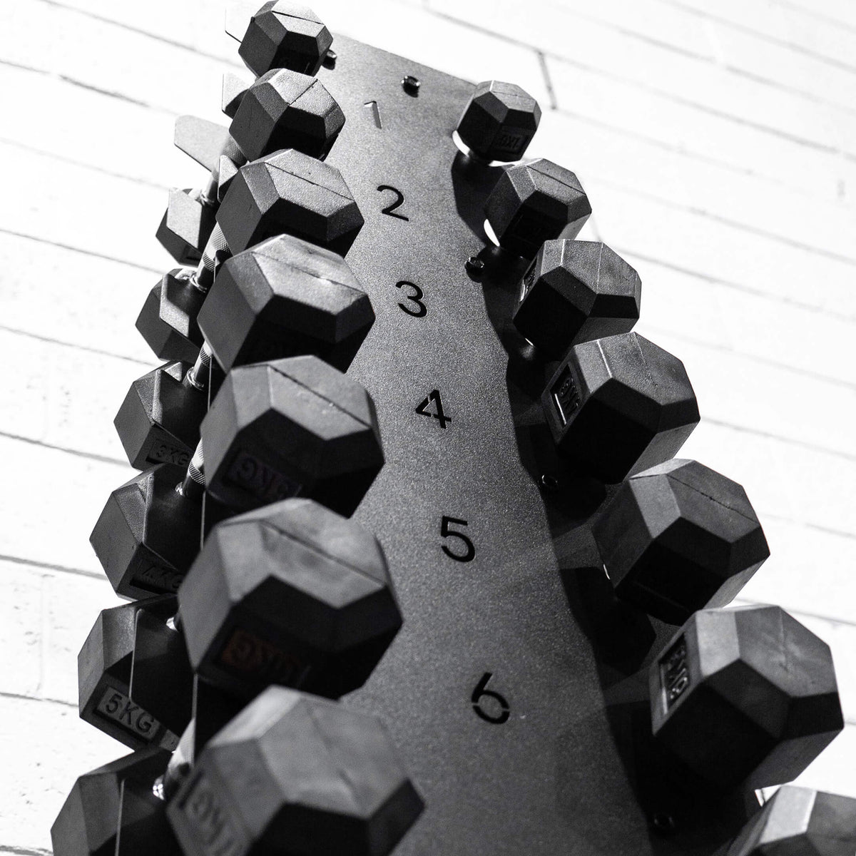 Premium 10 Pair Hex Dumbbell Rack