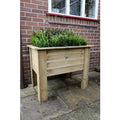 Forest Deep Root Planter - All Sizes