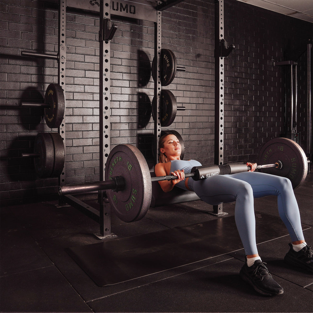Hip Thruster / Preacher Curl Bench