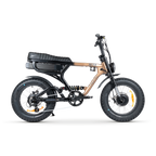 ACE-X Demon Dual Electric Bike