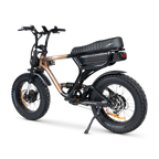 ACE-X Demon Dual Electric Bike
