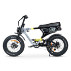 ACE-X Demon S5 Dual Electric Bike