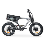 ACE-X Demon S5 Dual Electric Bike