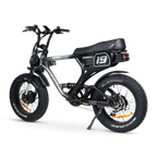 ACE-X Demon S5 Dual Electric Bike