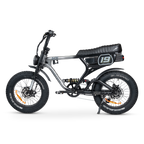 ACE-X Demon S5 Dual Electric Bike
