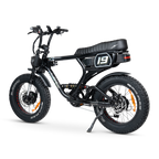 ACE-X Demon S5 Dual Electric Bike