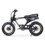 ACE-X Demon S5 Dual Electric Bike