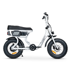 ACE Mini Electric Bike