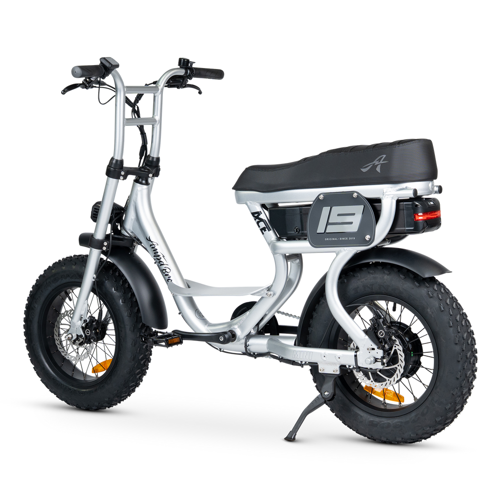 ACE Mini Electric Bike