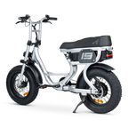 ACE Mini Electric Bike