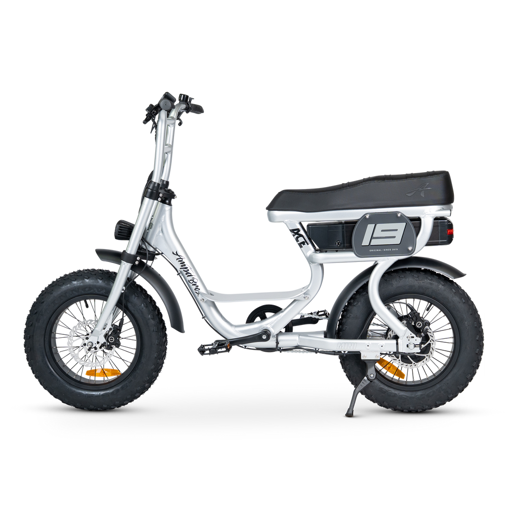 ACE Mini Electric Bike