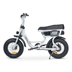 ACE Mini Electric Bike