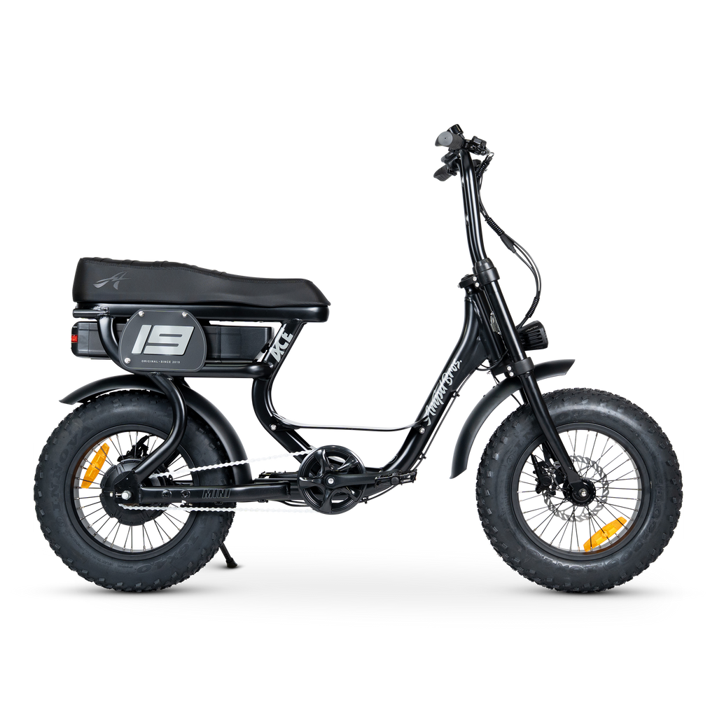 ACE Mini Electric Bike