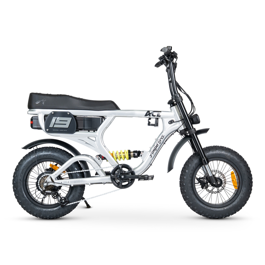ACE-X Mini PRO Electric Bike