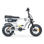 ACE-X Mini PRO Electric Bike