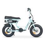 ACE Mini Electric Bike