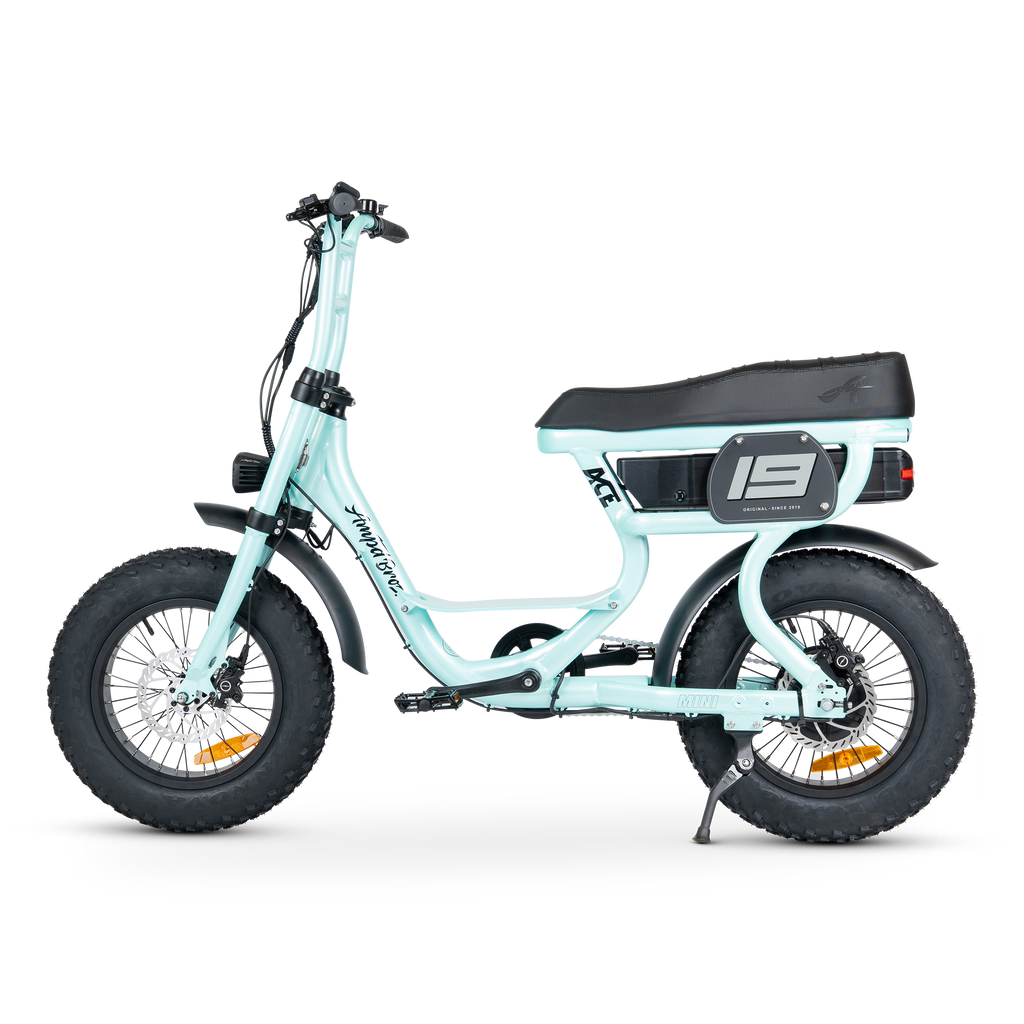 ACE Mini Electric Bike