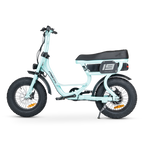 ACE Mini Electric Bike