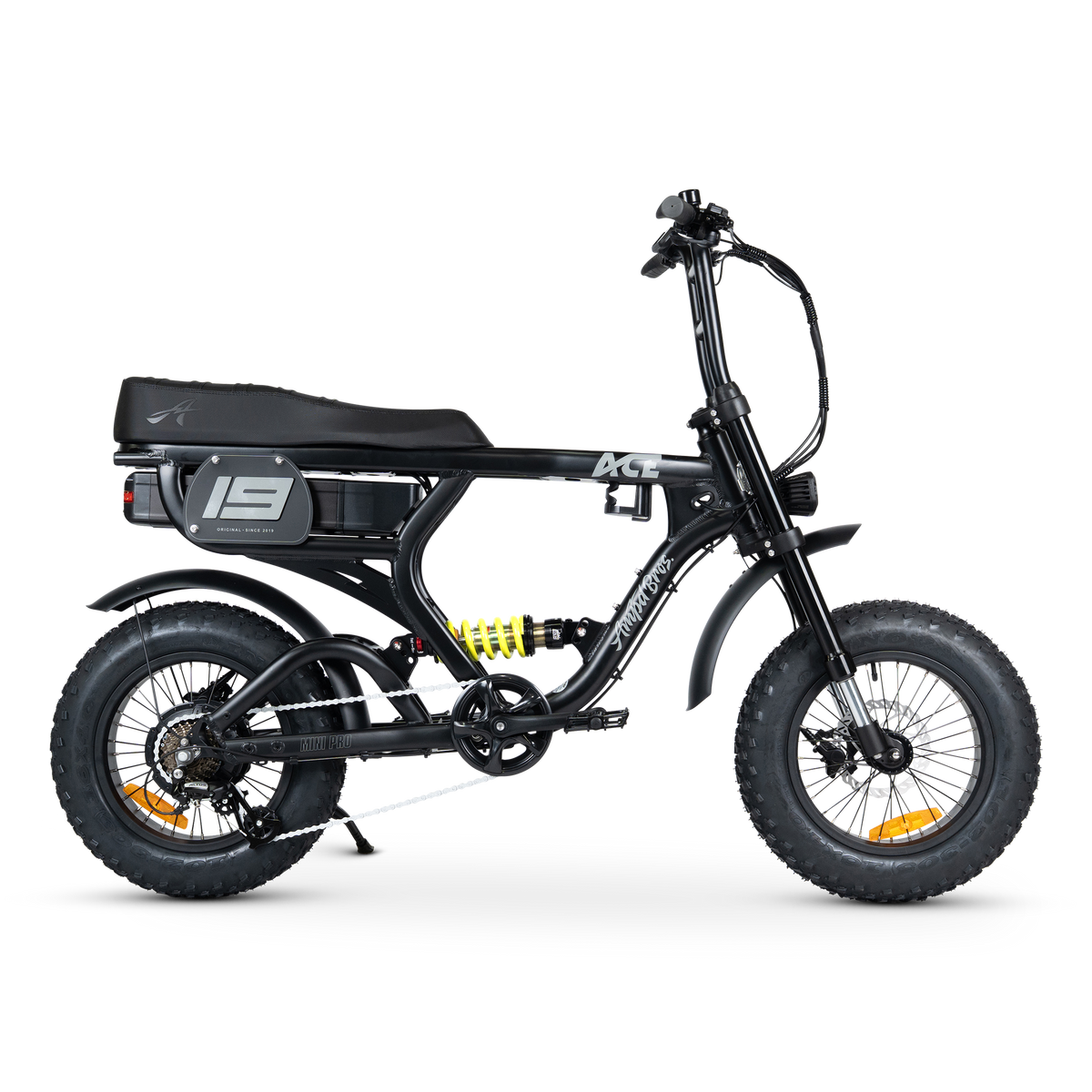 ACE-X Mini PRO Electric Bike