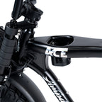 ACE-X Demon S5 Dual Electric Bike