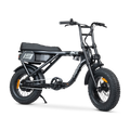 ACE Mini Electric Bike