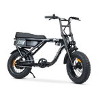 ACE Mini Electric Bike