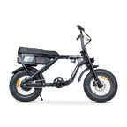 ACE Mini Electric Bike