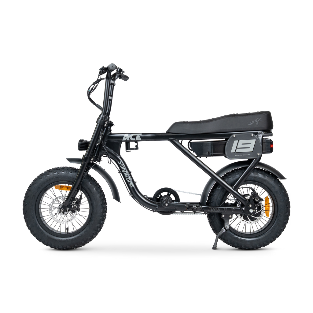 ACE Mini Electric Bike