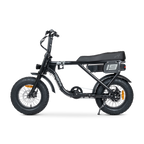 ACE Mini Electric Bike
