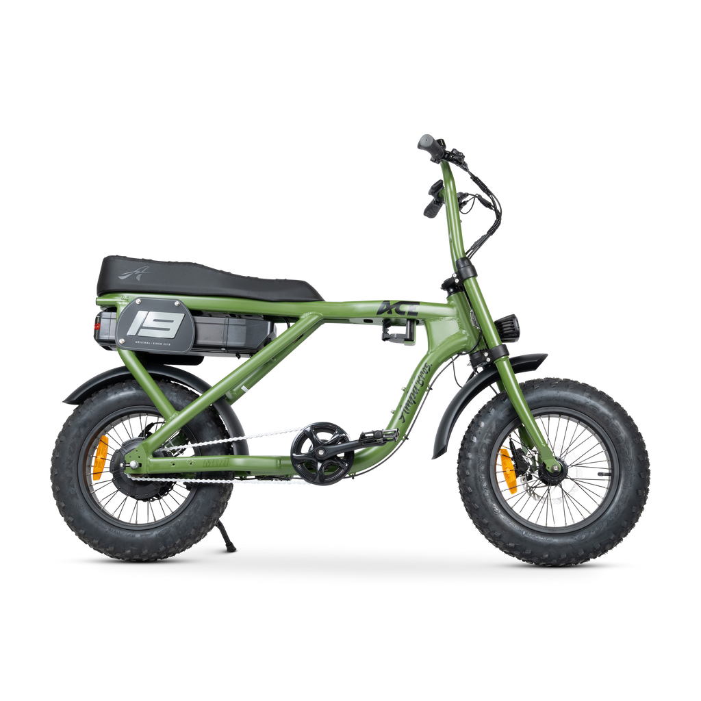 ACE Mini Electric Bike