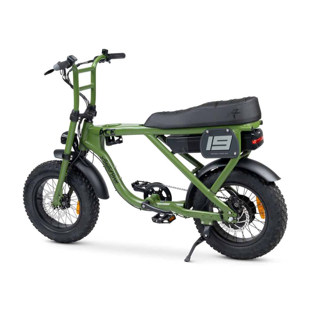 ACE Mini Electric Bike